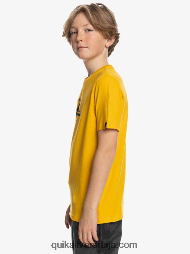 децаци Quiksilver цомп лого - мајица златни штап Z824VN2316
