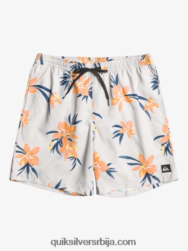 мушкарци Quiksilver свакодневни микс 17 волеја сивољубичаста Z824VN1210