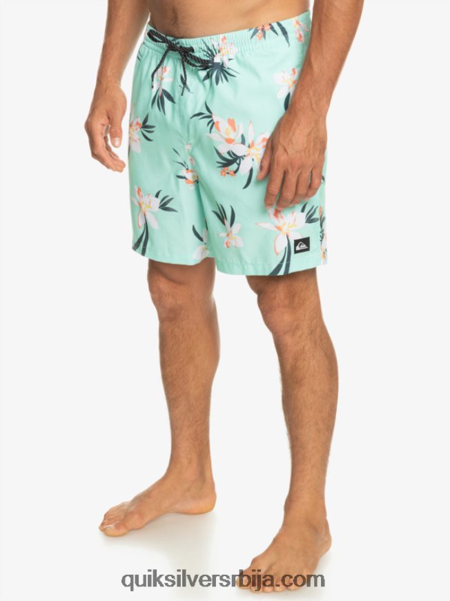мушкарци Quiksilver свакодневни микс 17 волеја стакло за плажу Z824VN1211