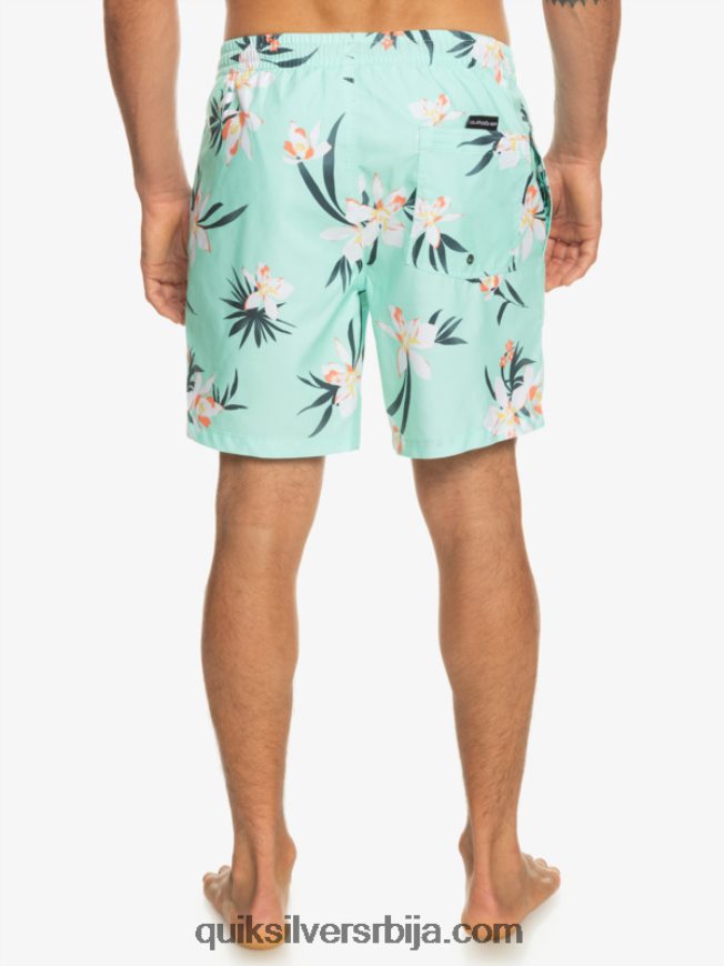 мушкарци Quiksilver свакодневни микс 17 волеја стакло за плажу Z824VN1211