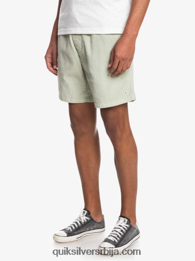 мушкарци Quiksilver таксер шортс пустињска жалфија Z824VN365
