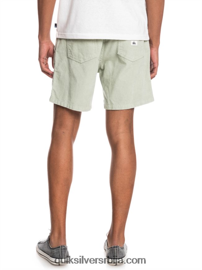 мушкарци Quiksilver таксер шортс пустињска жалфија Z824VN365