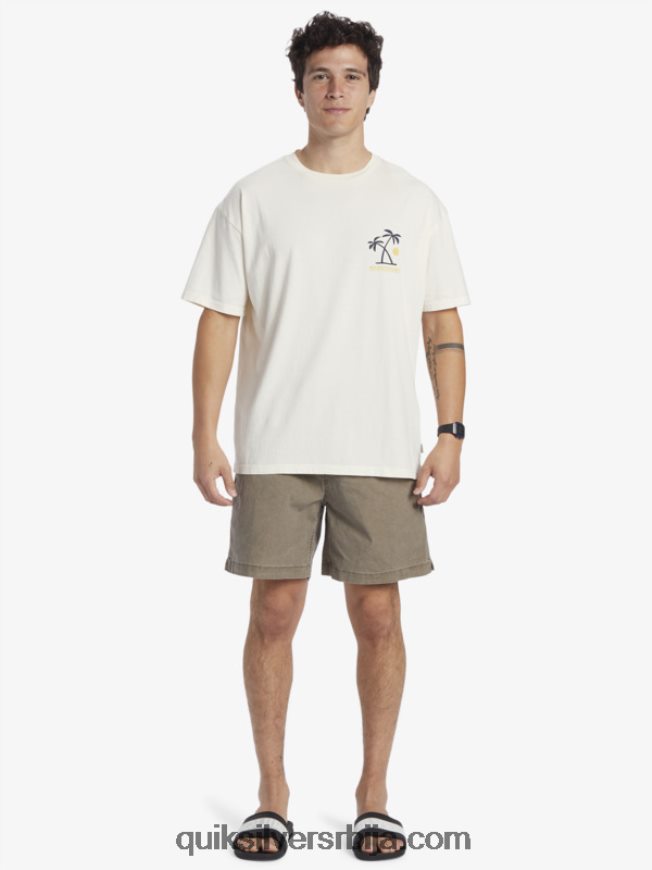 мушкарци Quiksilver мајица ритуала заласка сунца бреза Z824VN391