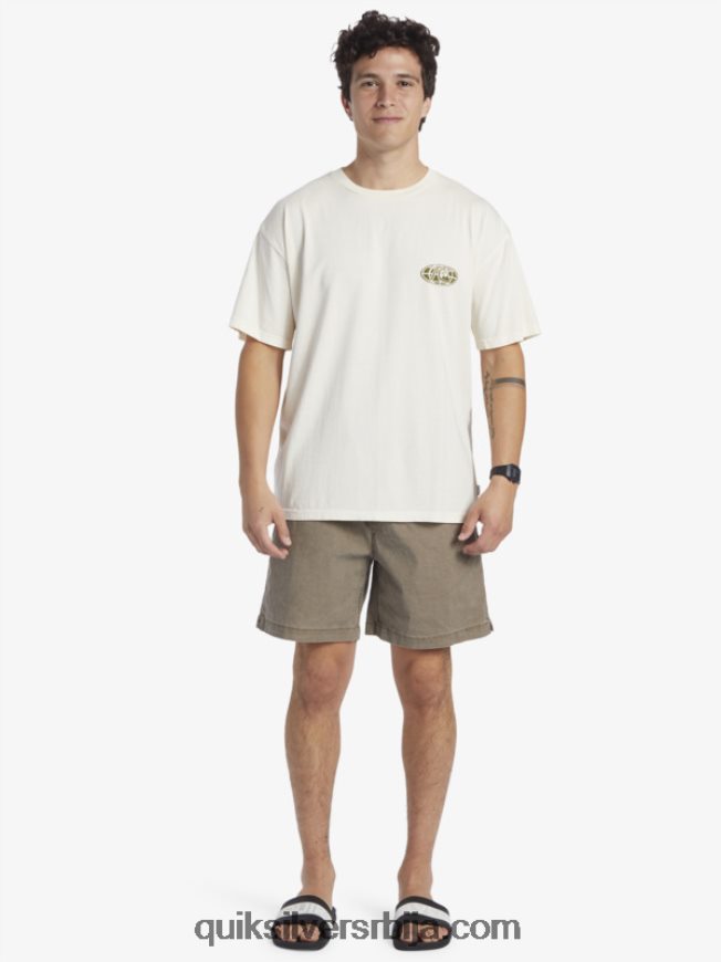мушкарци Quiksilver мајица јасног ума бреза Z824VN741