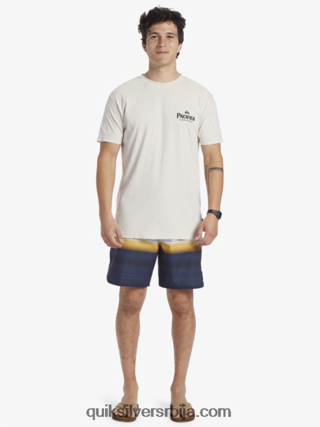 мушкарци Quiksilver x Pacifico мајица са сликовитим вибрацијама камен Z824VN9
