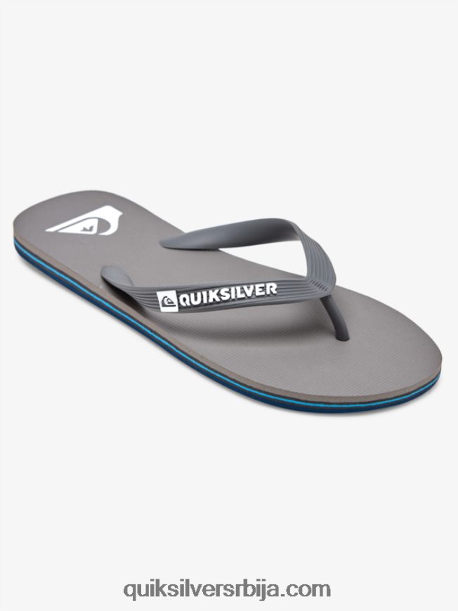 мушкарци Quiksilver молокаи јапанке сива 3 Z824VN1592