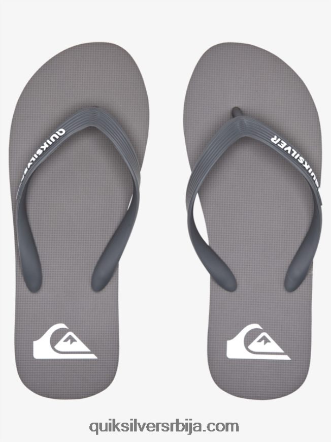 мушкарци Quiksilver молокаи јапанке сива 3 Z824VN1592