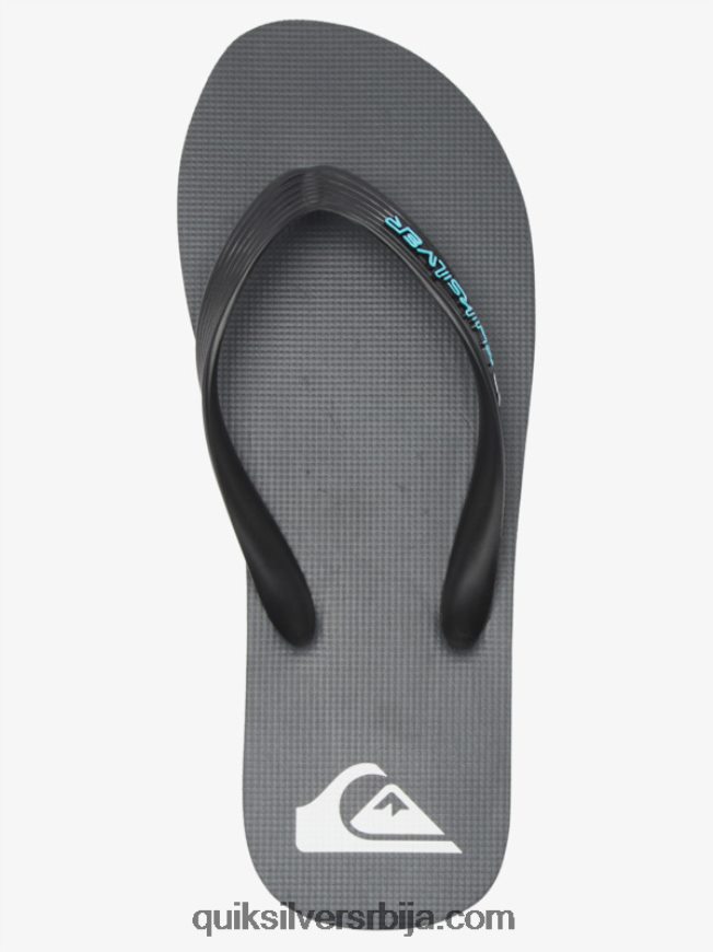 мушкарци Quiksilver Молокаи цоре јапанке сива 4 Z824VN594
