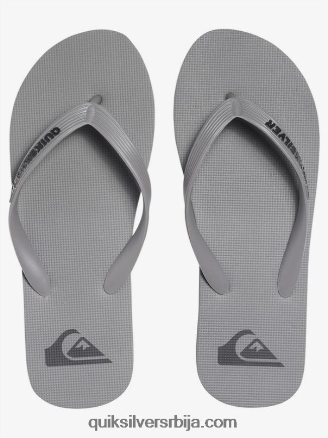 мушкарци Quiksilver молокаи јапанке сива Z824VN1590